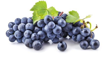 Fototapeta premium A single grape is isolated on a clean white background, with a clipping path precisely applied to outline its shape. The image showcases a full depth of field, ensuring that the grape's texture and 