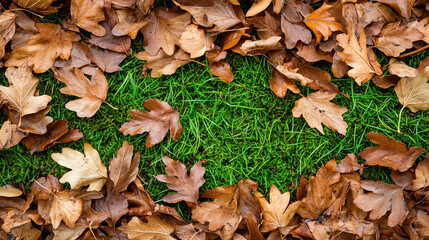 Dramatic overhead view of forest floor blanketed with autumn leaves, showcasing vibrant colors and textures of nature. contrast between brown leaves and green grass creates serene atmosphere