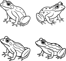 Frog Coloring Pages line art design