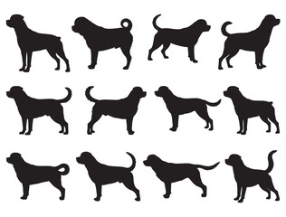 ROTTWEILER DOGS SILHOUETTE WHITE BACKGROUND