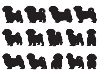 SHIH TZU SILHOUETTE WHITE BACKGROUND
