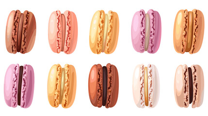 Vector set of french macaroon dessert macaron pastry illustration set isolated on white background
