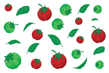 Tomato vegetable vector. Background illustration with tomato vegetable ornament