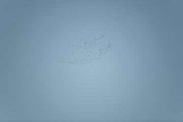 Numerous birds are flying in a precise formation high in the sky, creating a beautiful spectacle against the soft blue background of early morning, showcasing nature's tranquility