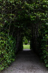 Dunrobin Castle, fairy-tale gem overlooking North Sea, offers breathtaking gardens, exquisite summer blooms. A masterpiece of elegance, lush landscapes meet historic charm, unfold on manicured lawns