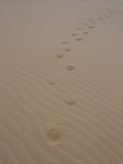 Footprint and ripple pattern on the sand.