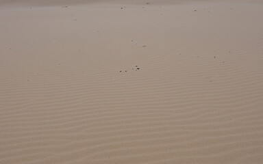 Rippled sand pattern on the desert.