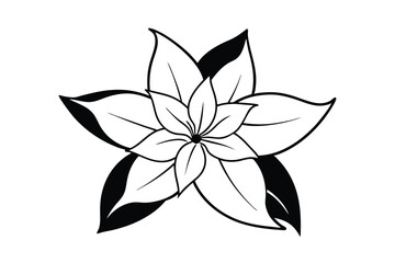 black and white flower