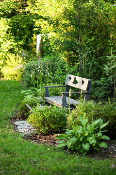cottage summer ornamental garden with rustic wooden bench and flowerbed with hostas, spirea japonica and other plants