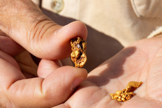 small gold nugget held between thumb and forefinger