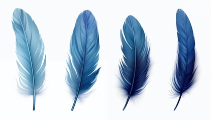 blue orange gold green purple pink brown silver feather isolated on white