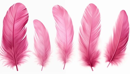 blue orange gold green purple pink brown silver feather isolated on white