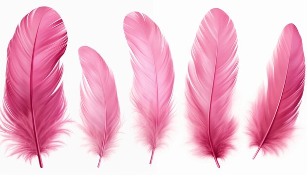 Fototapeta blue orange gold green purple pink brown silver feather isolated on white