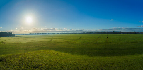The Phoenix Park early in the morning