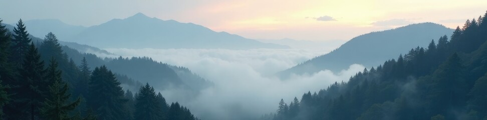 Soft gray fog clung to the branches of trees in the valley, mist, morning light, Pacific Northwest
