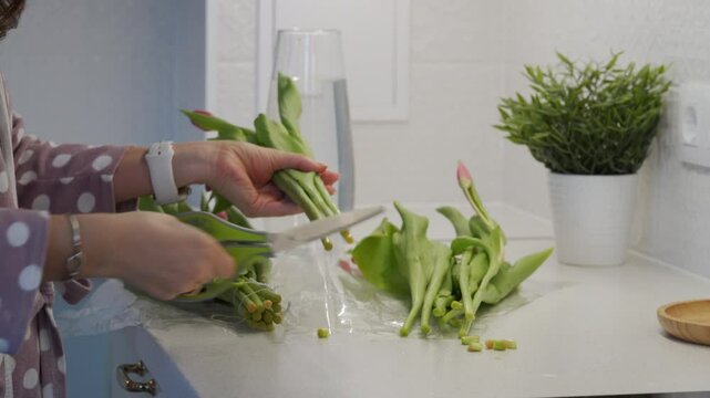 A woman in a polka dot robe trims the stems of fresh tulips with green-handled scissors on a clean kitchen counter, preparing them to be arranged in a vase, with a small potted plant nearby.