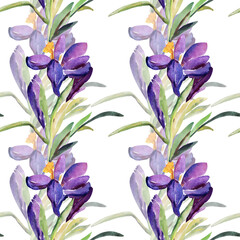 Dekoratives Schneeglöckchen.Pattern of wild flowers, watercolor  image  on a colored background.