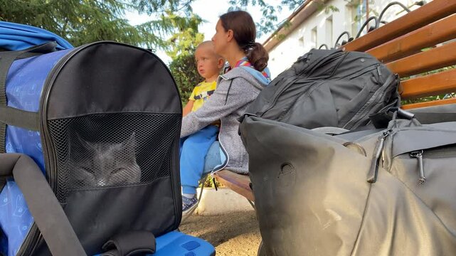 Family traveling with cat in soft carrier. Woman with small child with luggage, big grey adult cat in pet carrier in baby carriage at railway station waiting for train to arrive.