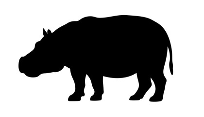 Fototapeta premium Silhouette of a hippopotamus standing