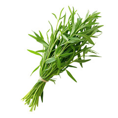 Fototapeta premium Fresh Tarragon Leaves Isolated on Transparent Background