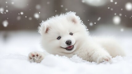Playful Samoyed Puppy Enjoying a Snowy Winter Wonderland with Gentle Snowflakes Falling All Around