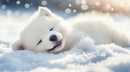 Adorable fluffy white puppy sleeping peacefully in soft snow with gentle snowflakes falling around it