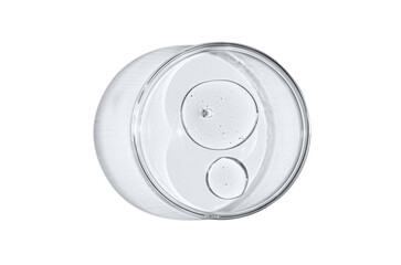 Skin serum or body gel in a Petri dish. Cosmetic product