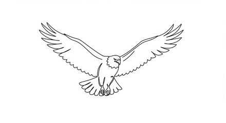 Fototapeta premium Simplified Line Drawing of a Soaring Eagle