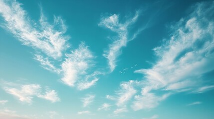 Obraz premium Azure summer sky with distant birds flying, surrounded by dreamy fluffy clouds 