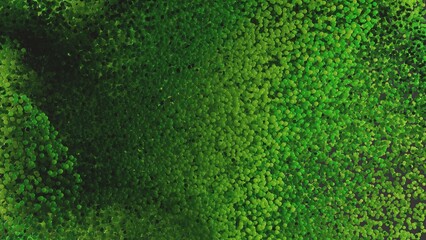 Green abstract background with tiny spheres. Healthy lifeslyle concept. 3d rendering of backdrop with balls. Summer vibe