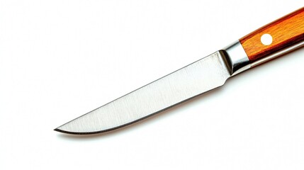 Sharp steak knife, wooden handle, white background, isolated