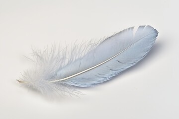 Delicate Blue Feather with Soft White Tip on Minimalist Background