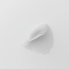 Obraz premium Elegant White Feather on Soft Smooth Surface with Subtle Shadows