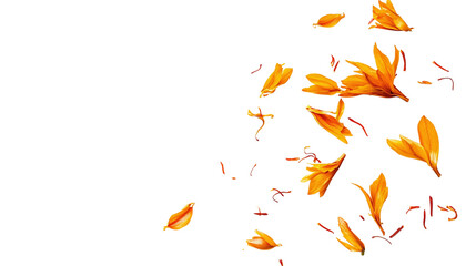 A pinch of saffron threads scattered