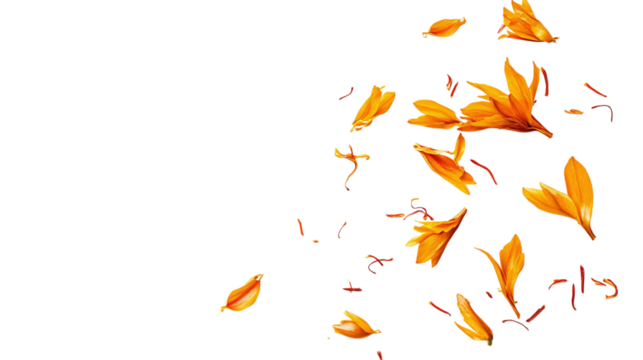 A pinch of saffron threads scattered