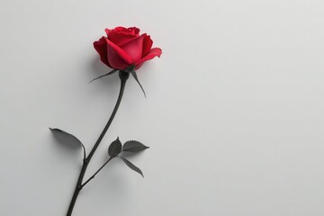 Single long stem red rose in monochromatic silver tone, flower, simple, silver