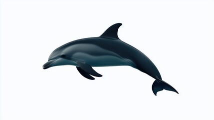 Fototapeta premium Graceful Gray Dolphin Leaping in White Water