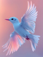 Fototapeta premium White bird flying with wide open wings at sunset