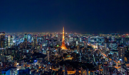 The most beautiful Viewpoint Tokyo tower in tokyo city ,japan.