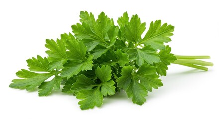 Fototapeta premium Fresh Parsley Isolated on White Background