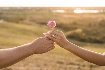 man handing his woman a beautiful rose at the engagement session