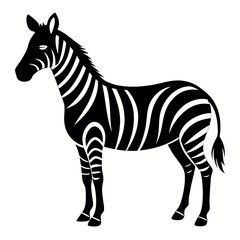 Silhouette full black Zebra.