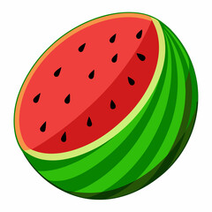 Watermelon  vector illustration 