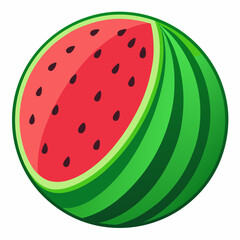 Watermelon  vector illustration 