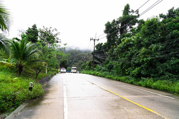 A rain-soaked road winds through lush greenery, highlighting Thailand's eco beauty and peace.