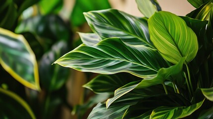 Obraz premium Vibrant Close-up of Large Green Leaves and Tropical Plants, Exotic Foliage in a Lush Tropical Background, Photorealistic and Rich in Color