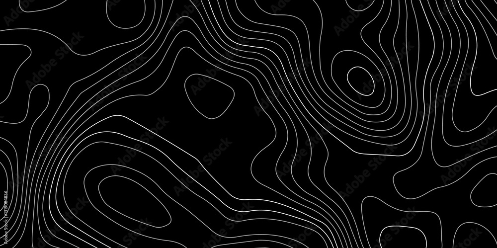 Poster topographic map lines, contour background. geographic abstract grid.abstract line of the topographic