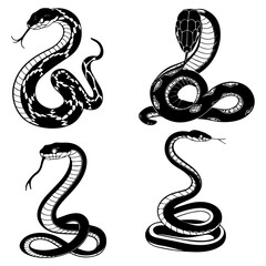 Obraz premium Cobra Snake Illustrations