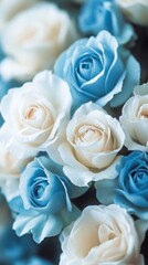 stock photo of white and blue roses
