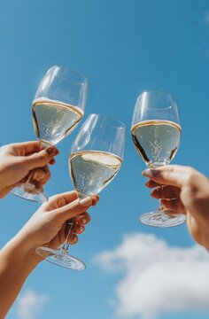 Celebraci&oacute;n copas al aire, brindis al sol